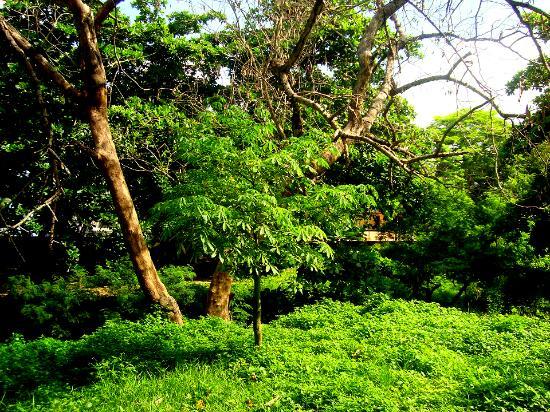 Jardín Botánico